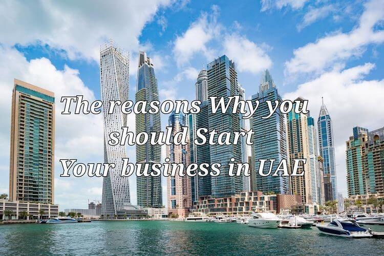 low-cost-business-setup low cost business setup