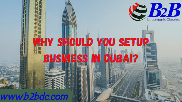 why should you setup your business in Dubai?