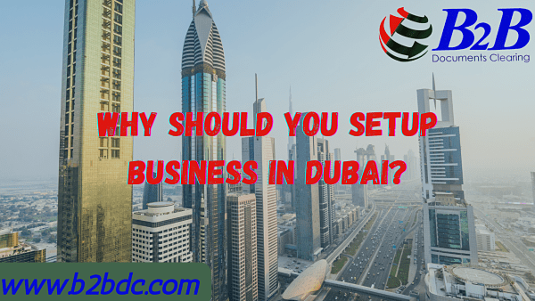 Why-should-you-setup-your-business-in-Dubai why should you setup your business in Dubai?